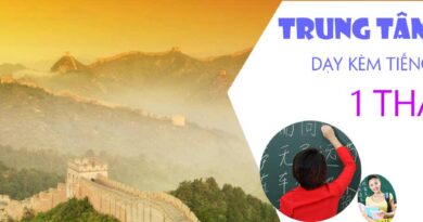 gia-su-tieng-hoa-tai-nha