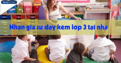tìm gia sư dạy kèm lớp 3 tại nhà