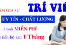 Dịch Vụ Gia Sư Tiểu Học Dạy Tại Nhà