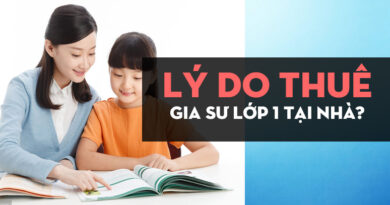 ly-do-thue-gia-su-lop-1