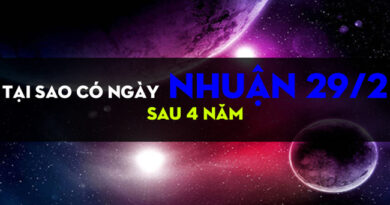 ngay-nhuan