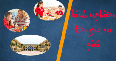 tim-gia-su-gioi