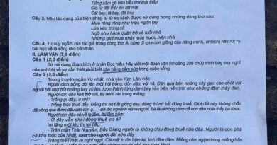 de-thi-tot-nghiep-thpt-2023