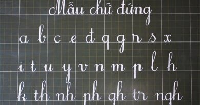 luyen-viet-chu-dep-lop-1-chu-nho