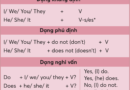 100 Câu Bài Tập Thì Hiện Tại Đơn Trong Tiếng Anh